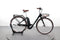 Pegasus Passion E7R
