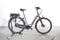 Batavus Finez E-go 8-voudig
