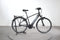 Raleigh Bristol