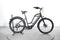 Woodee Bikes Kustlijner Zwaan