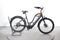 Woodee Bikes Kustlijner Zwaan