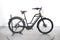 Woodee Bikes Kustlijner Zwaan