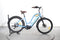Woodee Bikes Kustlijner Zwaan
