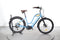 Woodee Bikes Kustlijner Zwaan