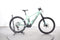 Orbea Wild FS H10