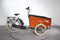 Amsterdam Steps Air Tricycle