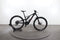 Specialized 29