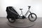 Cube Trike Hybrid Family 750