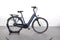 Gazelle Arroyo C7+ Elite