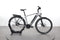 Rose Xtra Watt Evo