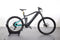 Haibike ALLMTN 1