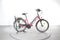 Cycle Denis