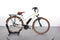Riese & Müller Cruiser Mixte Vario