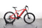 Cycle Denis 2 Cycle Denis