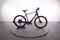 Trek Dual Sport+ 2 LT