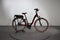 Riese & Müller Swing4 Vario