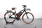 Riese & Müller Cruiser Mixte vario