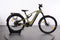 Advanced E-Bike Trekking Pro X FS