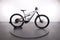 Cannondale MOTERRA NEO 4