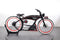 Ruff Cycles The Ruffian