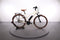 Riese & Müller Cruiser Mixte Vario
