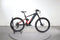 Bottecchia BE36 Evo Elektron