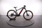 Trek Powerfly 5