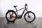 Haibike TREKKING 10