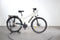Gazelle Medeo T10