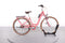 Ella Cruise Cube