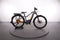 Haibike TREKKING 10