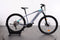 Trek Powerfly 5