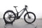 Trek Powerfly FS 9 uitgerust