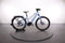 Batavus Razer