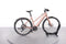 Riese & Müller UBN Seven touring