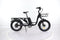 B2eBike City Cargo