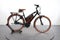 Riese & Müller Cruiser Mixte Vario