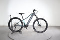 Trek Powerfly+ 4